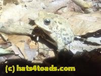 /home//u458753944/public_html/sourcegallery///////////McKaig Nature Center/2024-09-23/P9231578.JPG